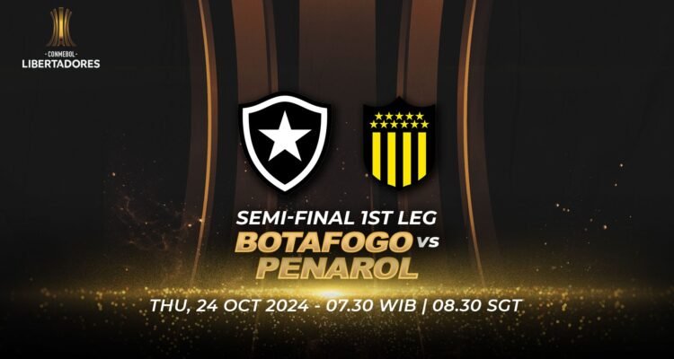 streaming botafogo penarol