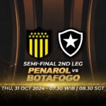 streaming penarol botafogo