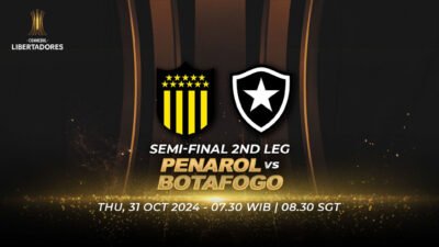 streaming penarol botafogo