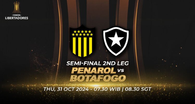 streaming penarol botafogo