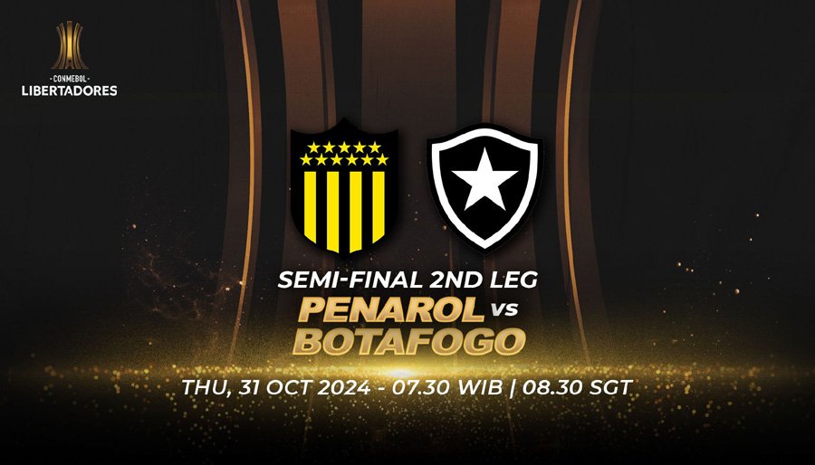 streaming penarol botafogo