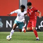 daftar pemain semen padang